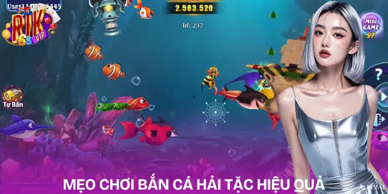 ban-ca-hai-tac-meo-choi